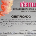 Ampliar imagem: certificate 7