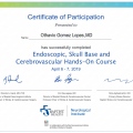 Ampliar imagem: certificate 1