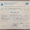 Ampliar imagem: certificate 5