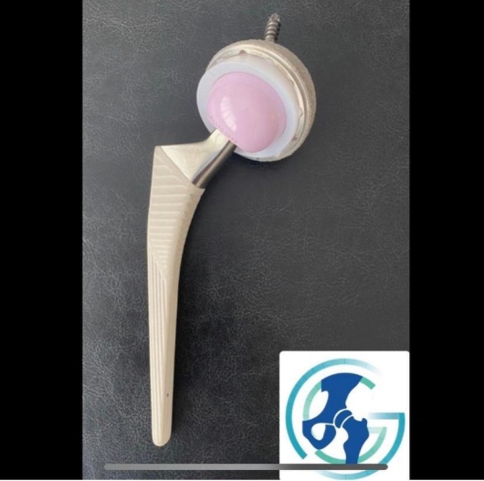 Gabriel Canto Tomazini-1