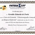 Ampliar imagem: certificate 291