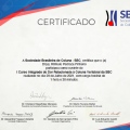 Ampliar imagem: certificate 19