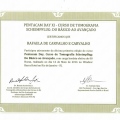 Ampliar imagem: certificate 7