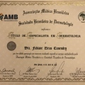 Ampliar imagem: certificate 4