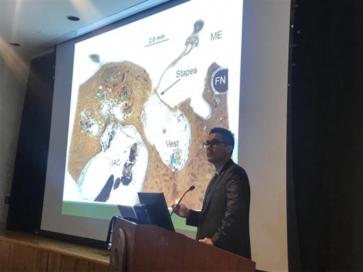 Henrique Furlan Pauna-5