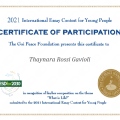 Ampliar imagem: certificate 1