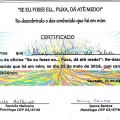 Ampliar imagem: certificate 4