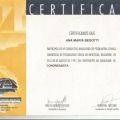 Ampliar imagem: certificate 20
