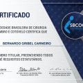 Ampliar imagem: certificate 3