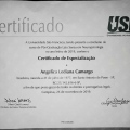Ampliar imagem: certificate 1