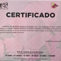 Ampliar imagem: certificate 43