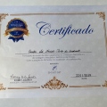 Ampliar imagem: certificate 7