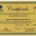 Ampliar imagem: certificate 9