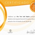 Ampliar imagem: certificate 16