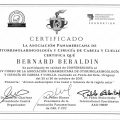 Ampliar imagem: certificate 26