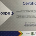 Ampliar imagem: certificate 13