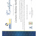 Ampliar imagem: certificate 8