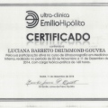 Ampliar imagem: certificate 4