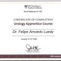 Ampliar imagem: certificate 3