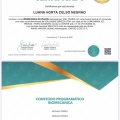 Ampliar imagem: certificate 4