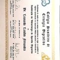 Ampliar imagem: certificate 4