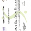 Ampliar imagem: certificate 6