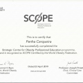 Ampliar imagem: certificate 12