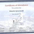 Ampliar imagem: certificate 9
