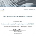 Ampliar imagem: certificate 22