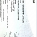 Ampliar imagem: certificate 3