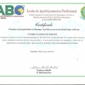 Ampliar imagem: certificate 3