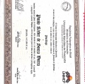 Ampliar imagem: certificate 7
