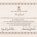 Ampliar imagem: certificate 7