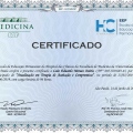 Ampliar imagem: certificate 10