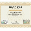 Ampliar imagem: certificate 9