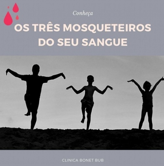 Carolina Bonet Bub-1