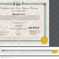 Ampliar imagem: certificate 1