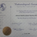 Ampliar imagem: certificate 6