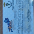 Ampliar imagem: certificate 1