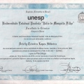 Ampliar imagem: certificate 1