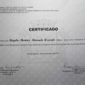 Ampliar imagem: certificate 13