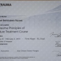 Ampliar imagem: certificate 6