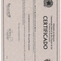 Ampliar imagem: certificate 1