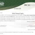 Ampliar imagem: certificate 4