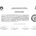 Ampliar imagem: certificate 144