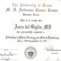 Ampliar imagem: certificate 4