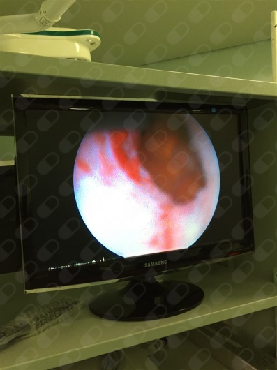 Gunther Luis Rodrigues-0