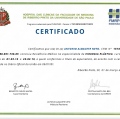 Ampliar imagem: certificate 2