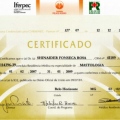 Ampliar imagem: certificate 3