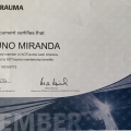 Ampliar imagem: certificate 5